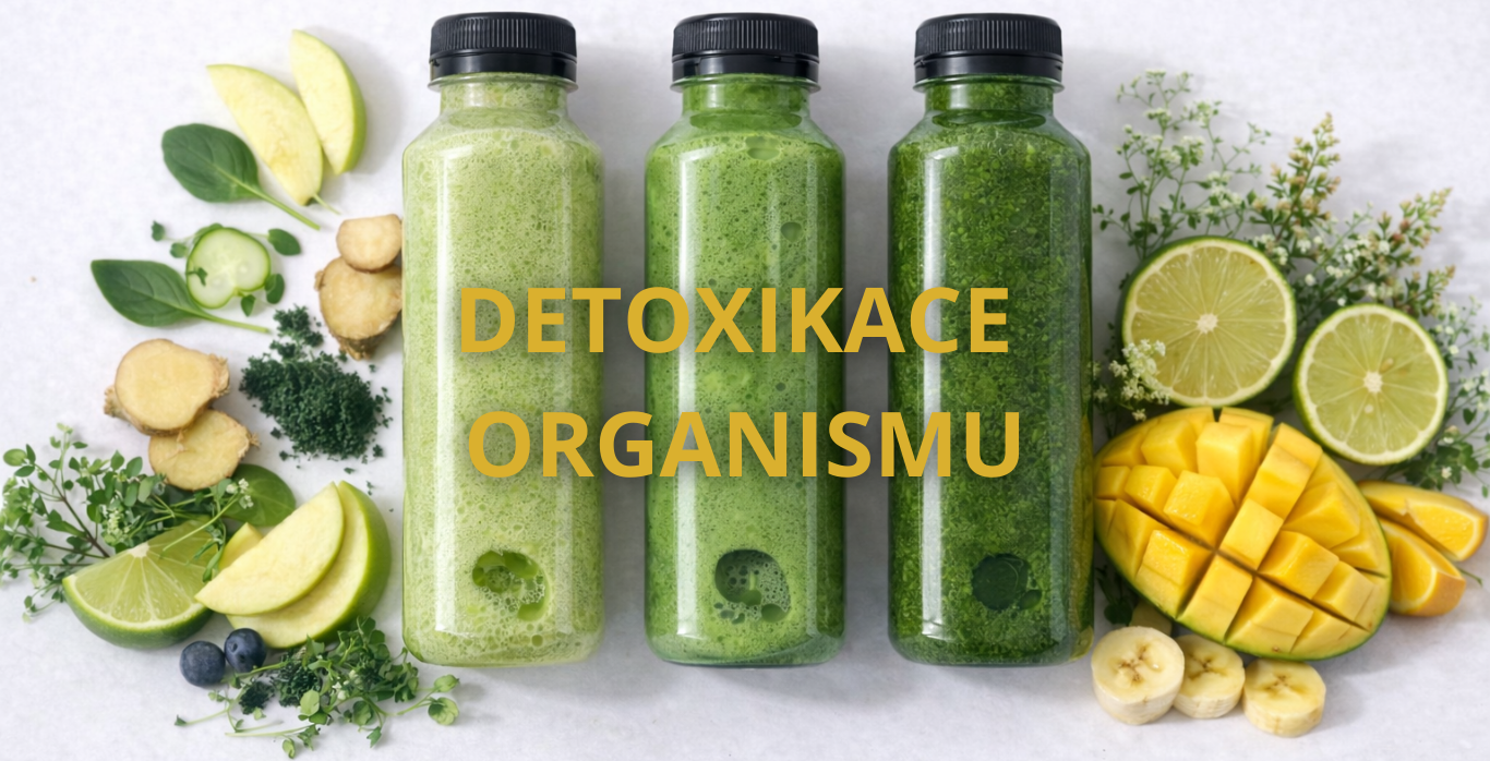 DETOXIKACE ORGANISMU (1)